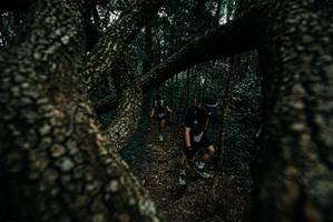 BIB: 
                            <button type="button" onclick="openModal(25689556)" class="btn btn-primary btn-sm float-right btn-popup" data-toggle="modal" data-target=".modal-high-quality">
                        <i class="fas fa-shopping-cart"></i> Add to Cart
                    </button>
                                            <button type="button" onclick="isThisMe(25689556, true)" class="btn btn-success btn-sm float-right btn-popup btn-isme hidden" data-toggle="tooltip" data-placement="bottom" title="นี่คือรูปของคุณใช่ไหม คลิกที่นี่เพื่อเอาเข้าอัลบั้ม">
                        <i class="fas fa-plus"></i> Add to album
                    </button>
                    <button type="button" onclick="isThisMe(25689556, false)" class="btn btn-warning btn-sm float-right btn-popup btn-isnotme hidden">
                        <i class="fas fa-ban"></i> Remove from album
                    </button>